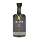 Gin Dry Limited Edition 750ml 48% - IGNITE