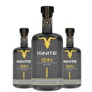 Caixa Com 6 Un Gin Dry Limited Edition 750ml 48% - IGNITE